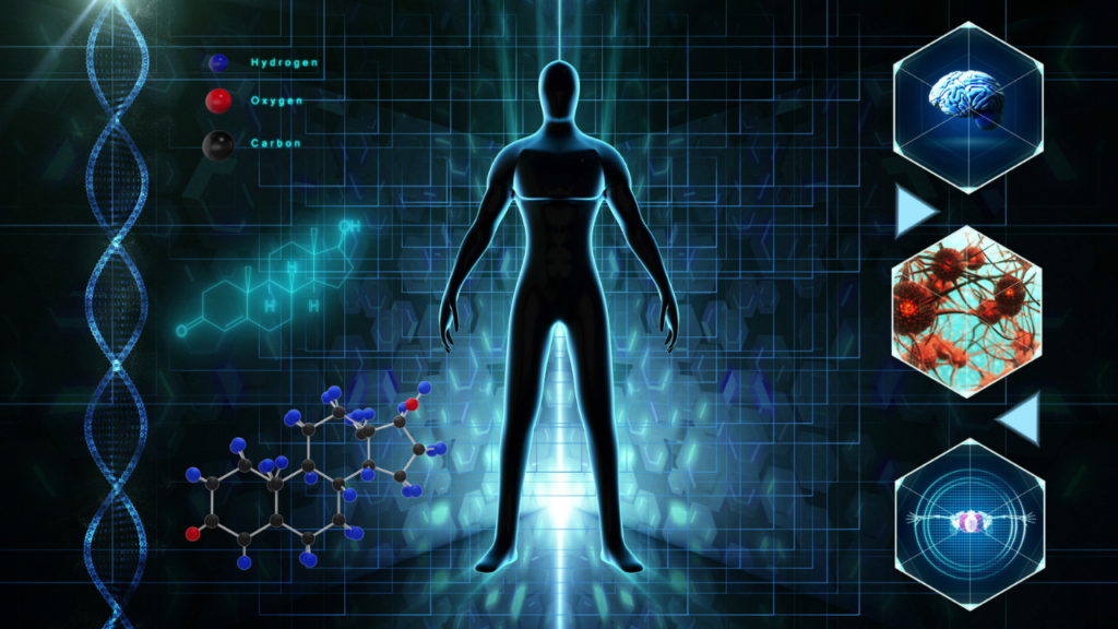 ホメオスタシス