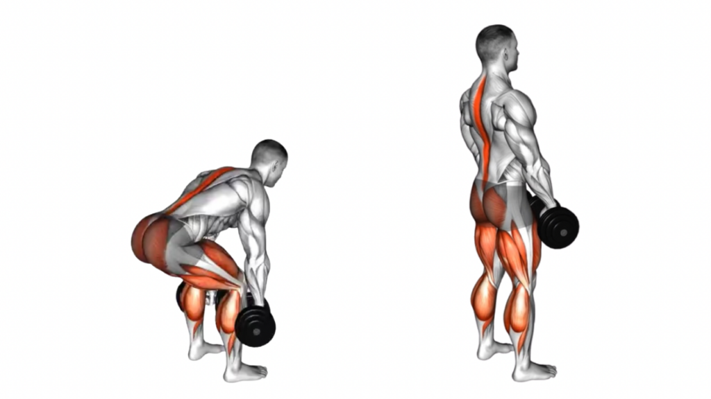 ダンベルデッドリフト