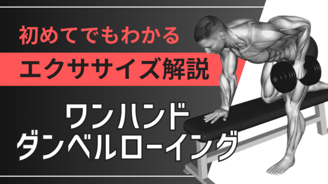 ワンハンドダンベルローイング：初めてでもわかるエクササイズ解説