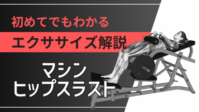 マシンヒップスラスト：初めてでもわかるエクササイズ解説