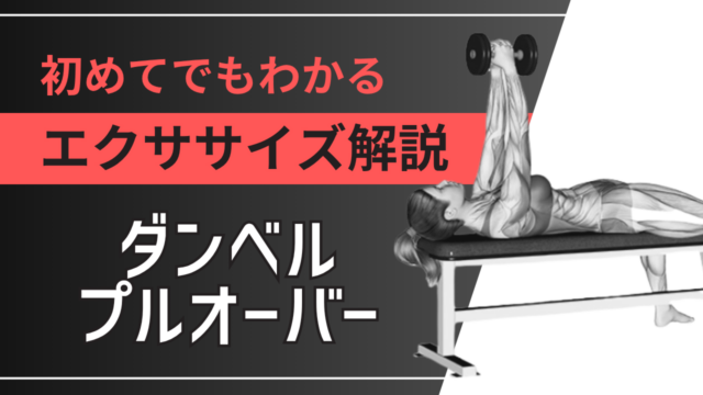 ダンベルプルオーバー：初めてでもわかるエクササイズ解説