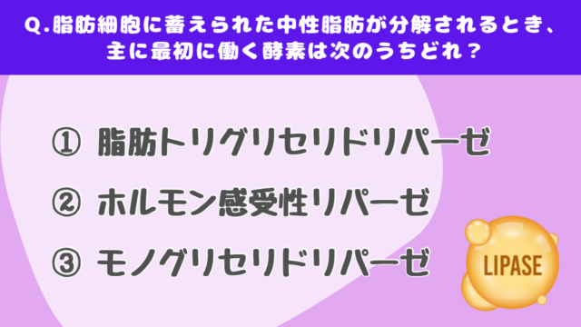 【クイズで学ぶ】脂肪燃焼（上級）