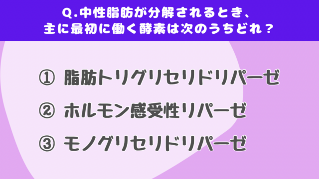 【クイズで学ぶ】脂肪燃焼（上級）