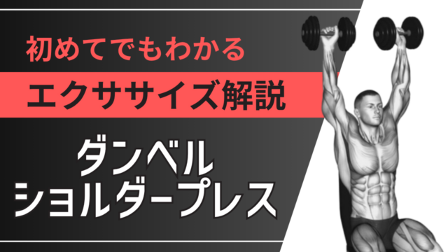 （シーテッド）ダンベルショルダープレス：初めてでもわかるエクササイズ解説