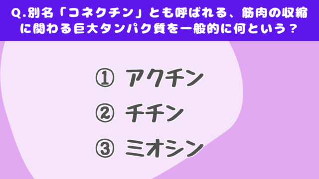 【クイズで学ぶ】筋肉（上級）
