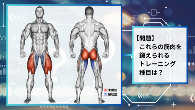 【クイズで学ぶ】使用する筋肉からトレーニング種目を推理せよ！#2