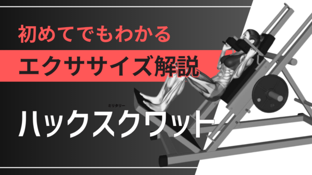 ハックスクワット：初めてでもわかるエクササイズ解説