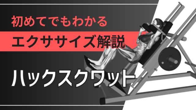 ハックスクワット：初めてでもわかるエクササイズ解説