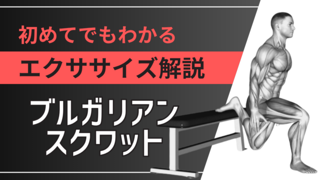 ブルガリアンスクワット：初めてでもわかるエクササイズ解説