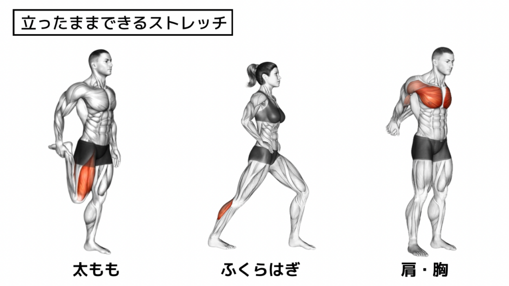 ストレッチ