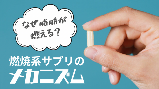 【なぜ脂肪が燃える？】燃焼系サプリのメカニズム