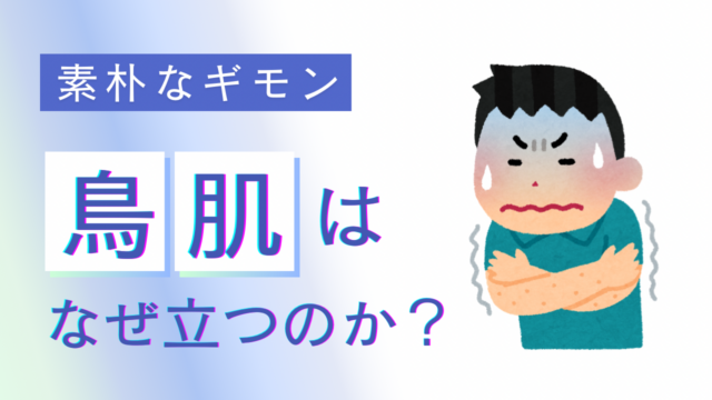 鳥肌はなぜ立つのか？
