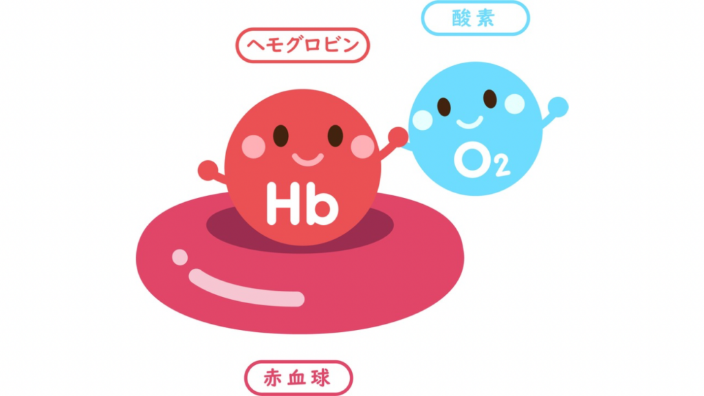 ヘモグロビン