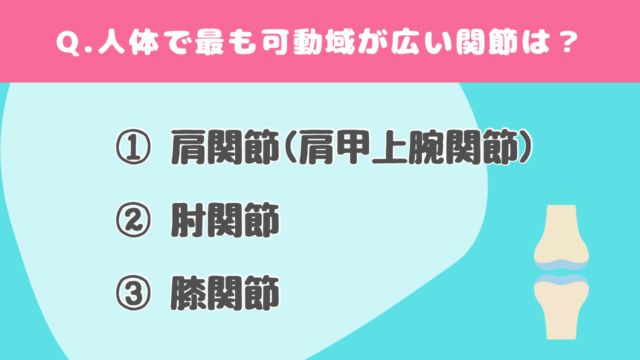 【クイズで学ぶ】人体の関節