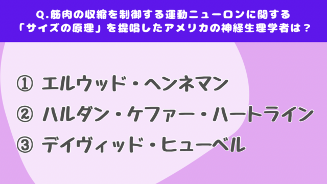 【クイズで学ぶ】筋肉（上級）#2