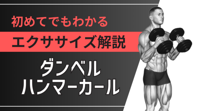 ダンベルハンマーカール：初めてでもわかるエクササイズ解説