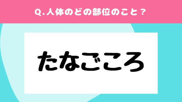 【クイズで学ぶ】体の部位の呼び名