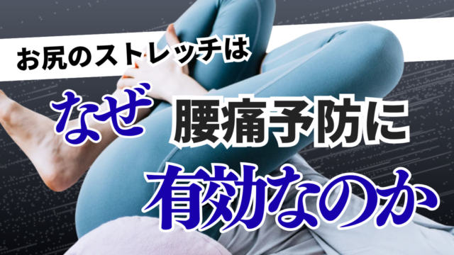 お尻のストレッチはなぜ腰痛予防に有効なのか
