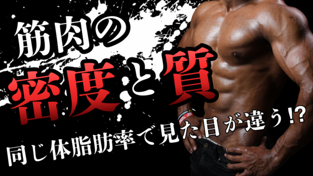 体脂肪率が同じでも見た目が違う！？筋肉の密度と質について
