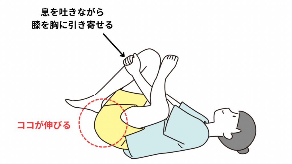 お尻のストレッチ