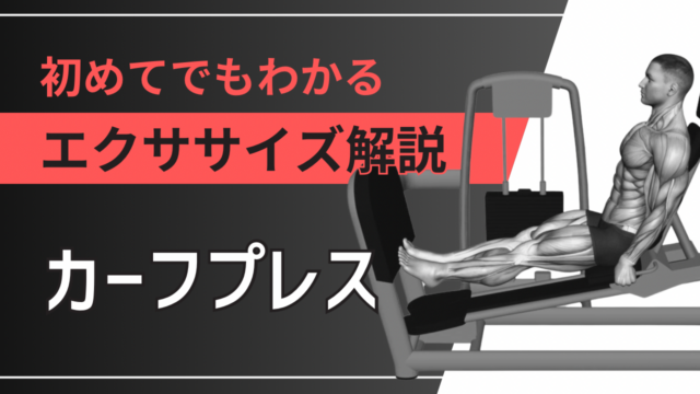 カーフプレス：初めてでもわかるエクササイズ解説