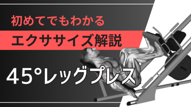 45°レッグプレス：初めてでもわかるエクササイズ解説