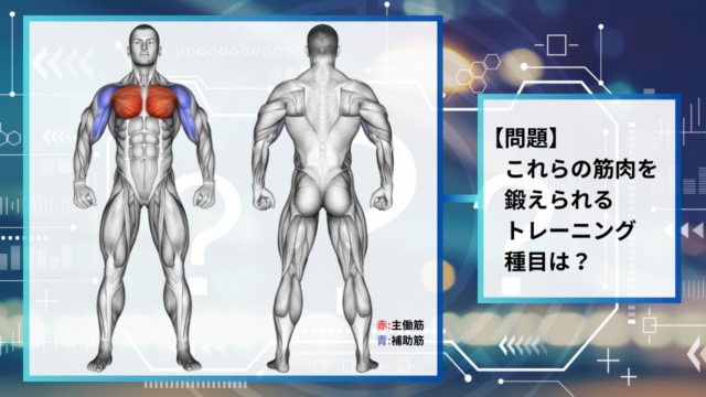 【クイズで学ぶ】使用する筋肉からトレーニング種目を推理せよ！#3