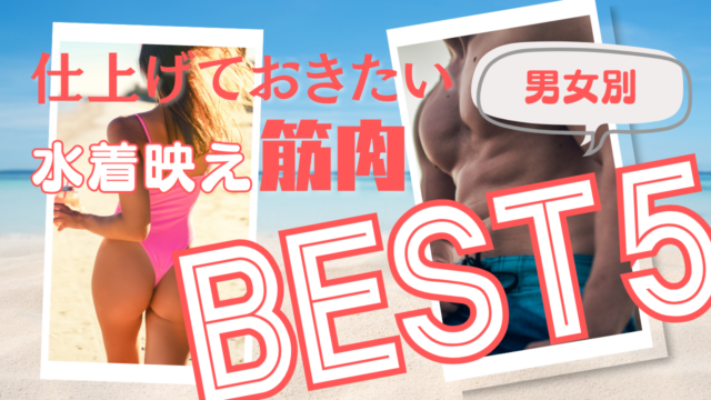 【海開き直前】トレーニーのための「仕上げておきたい“水着映え”筋肉」ベスト5