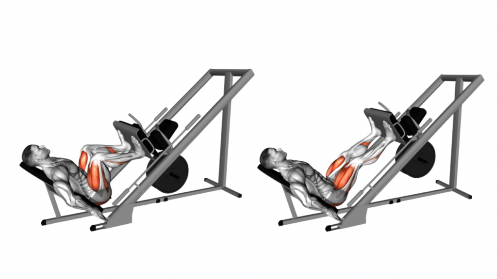 45°legpress