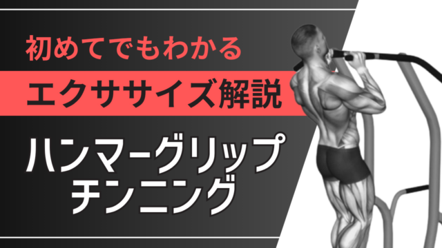 ハンマーグリップチンニング：初めてでもわかるエクササイズ解説