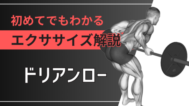 ドリアンロー（リバースグリップベントオーバーロー）：初めてでもわかるエクササイズ解説