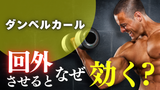 ダンベルカールは回外させるとなぜ効くのか？上腕二頭筋を狙うための基本を解説