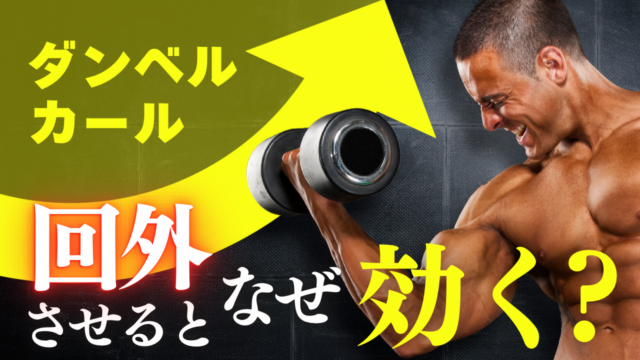 ダンベルカールは回外させるとなぜ効くのか？上腕二頭筋を狙うための基本を解説