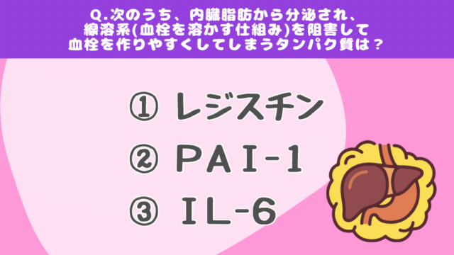 【クイズで学ぶ】内臓脂肪（上級）