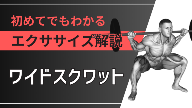 ワイドスクワット：初めてでもわかるエクササイズ解説