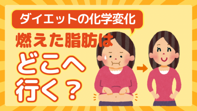 ダイエットの化学変化｜燃えた脂肪はどこへ行く？